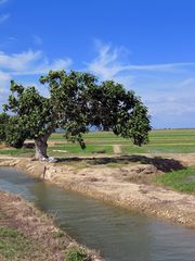 El rio de la vida