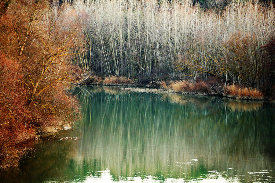 El río desnudo