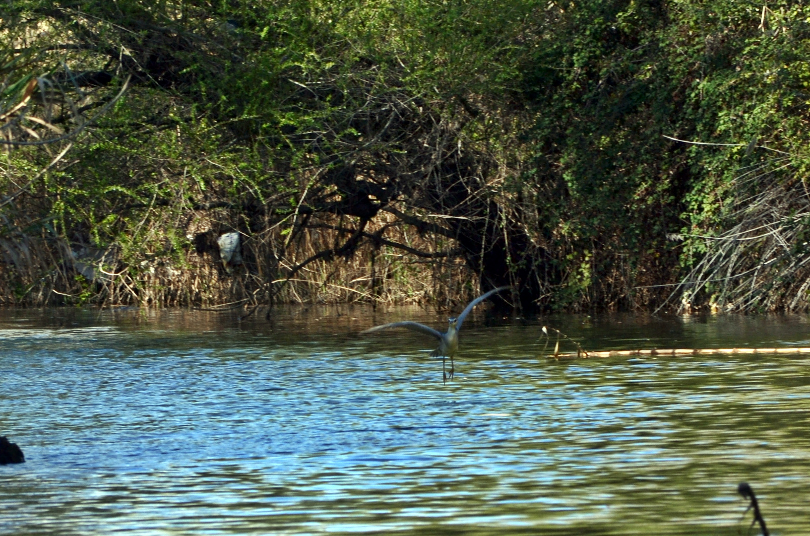 El Rio Jalon