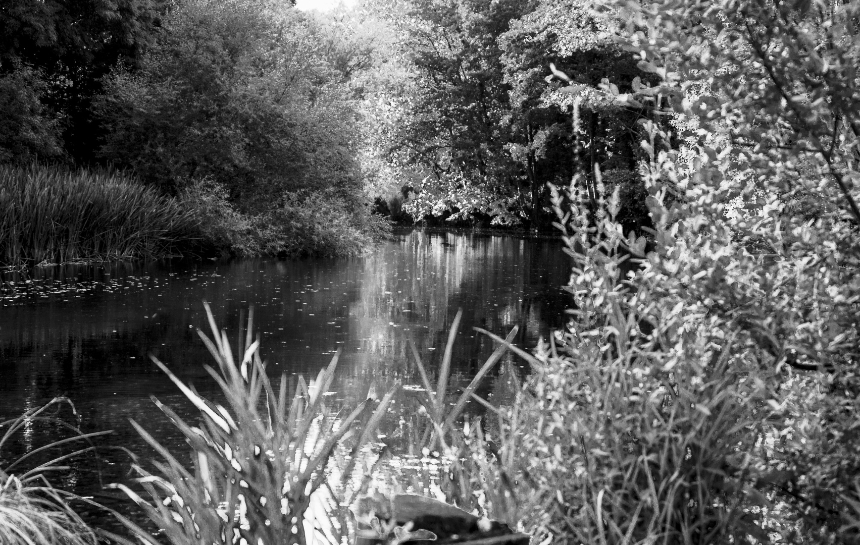 EL RIO MIÑO A SU PASO POR LUGO