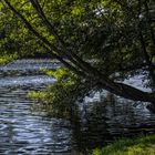 El Rio Miño, a su paso por Lugo.