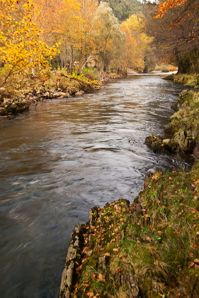 El rio se viste de otoño II