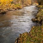 El rio se viste de otoño II