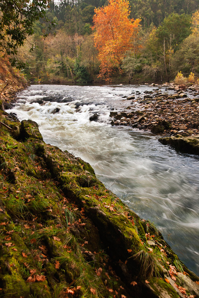 El Rio se Vste de Otoño