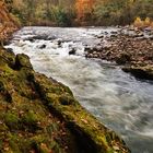 El Rio se Vste de Otoño