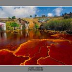 El Río Tinto  III       Web.