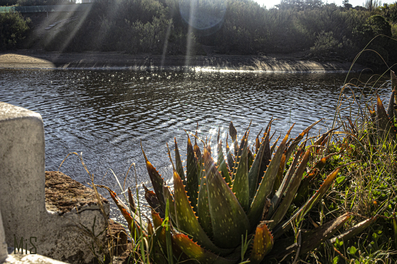 El río y el atrdecer