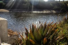 El río y el atrdecer