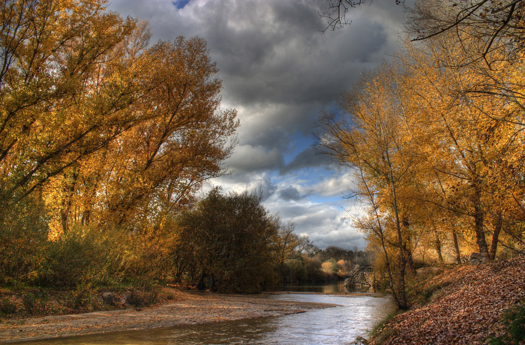 El río y el otoño II
