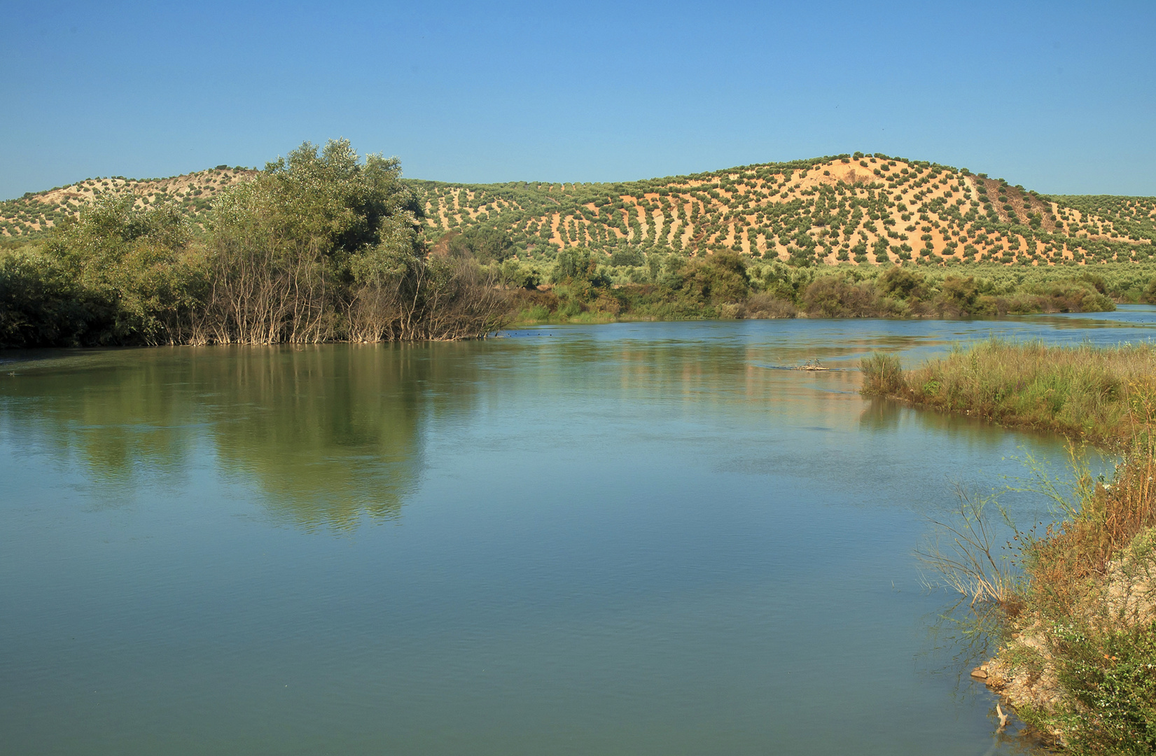 EL RÍO GENIL EN CAMPOS DE OLIVARES