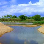 EL RÍO TORDERA