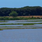 EL Roca - Wasserlandschaft