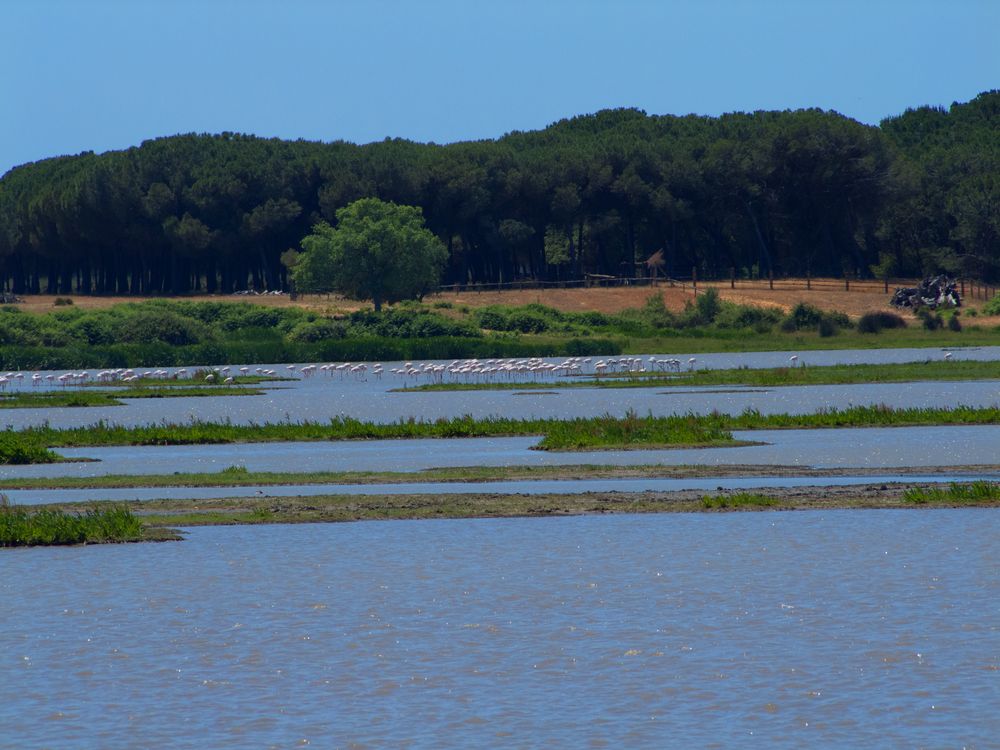 EL Roca - Wasserlandschaft