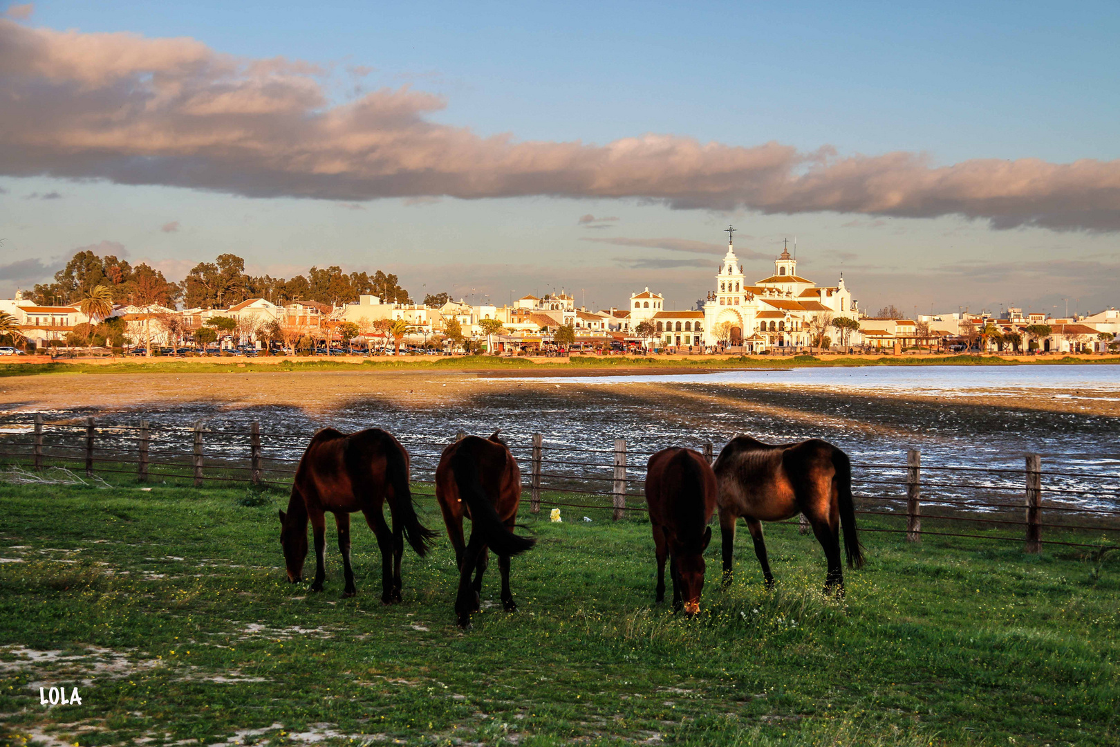 EL ROCIO