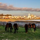 EL ROCIO