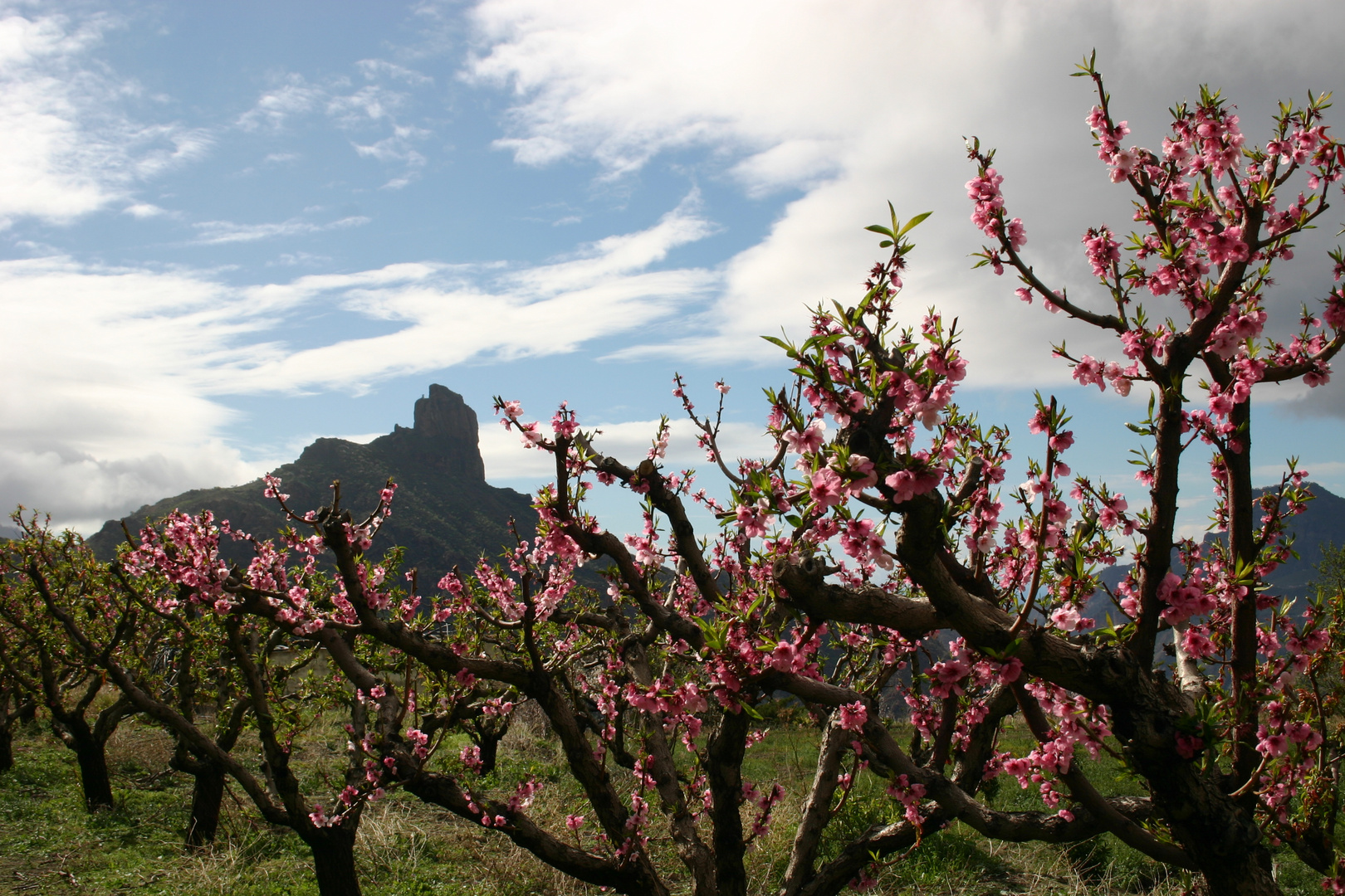 El Roque Nublo visto de otra forma