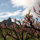 El Roque Nublo visto de otra forma