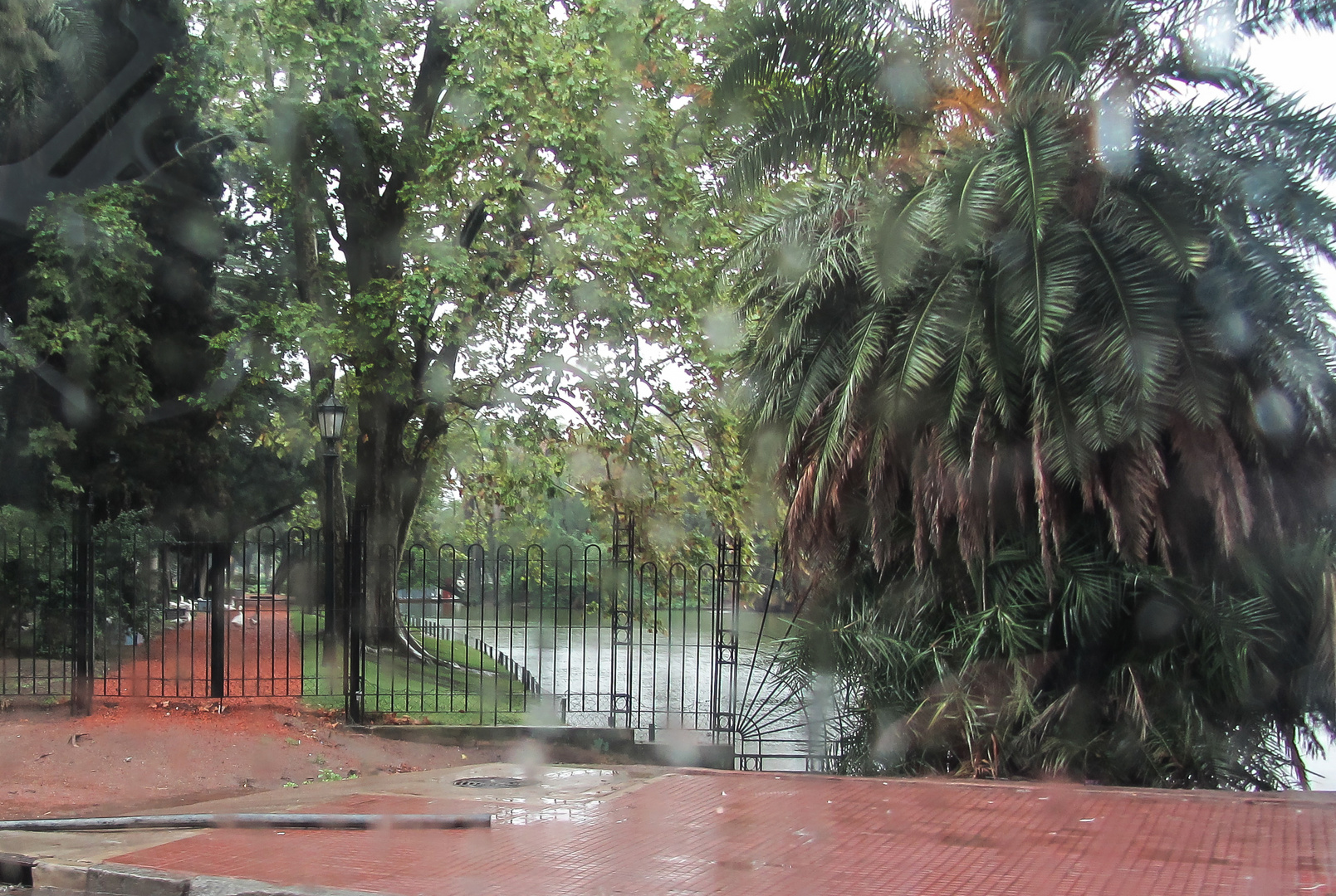 El Rosedal bajo la lluvia