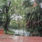 El Rosedal bajo la lluvia