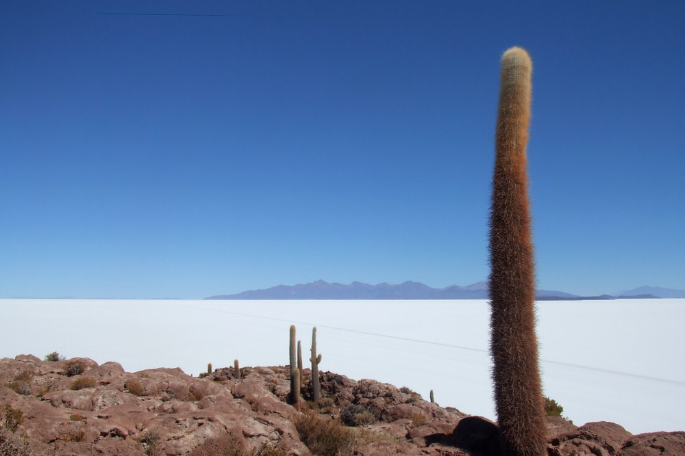 El Salar de Uyuni