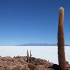 El Salar de Uyuni