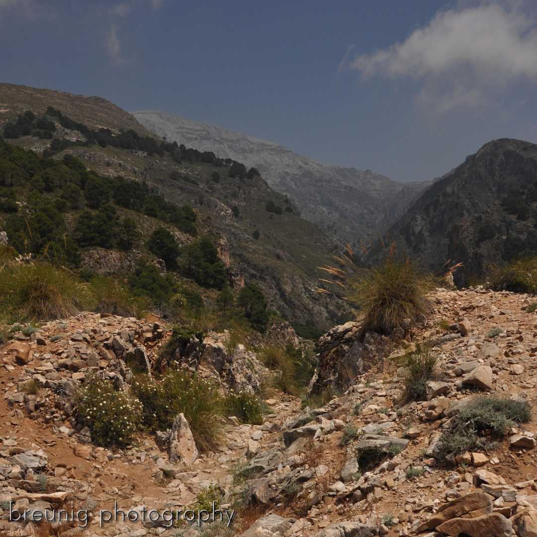 el saltillo mit blick auf la maroma