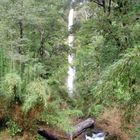 el salto de agua entre arboles