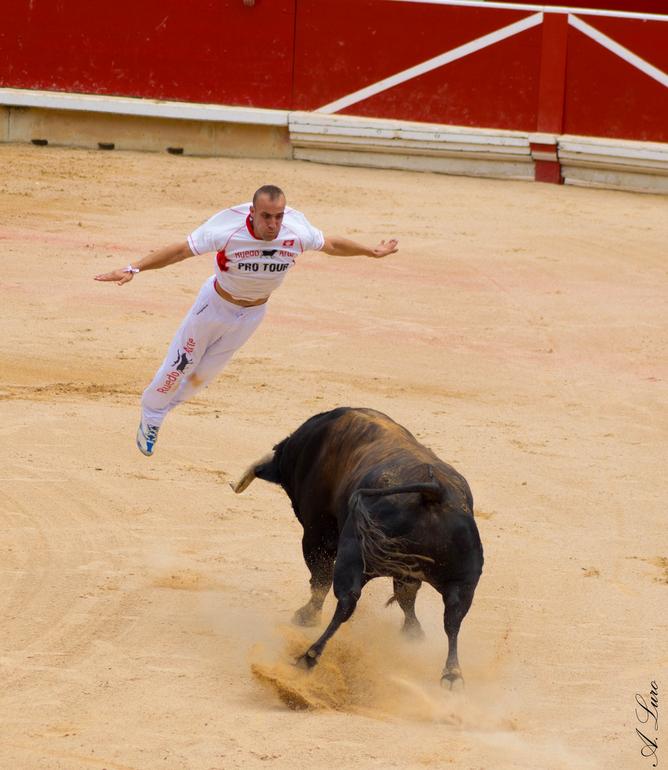 el salto del angel