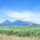 El Salvador, Berge und Zuckerrohrpflanzungen?