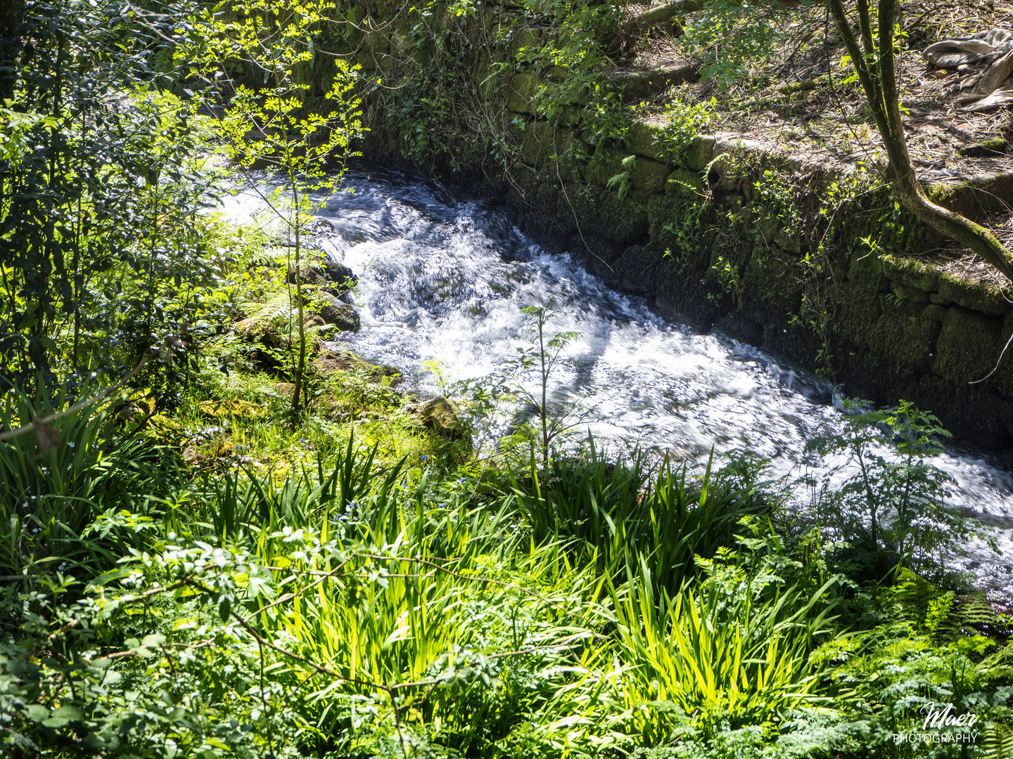 El Sarela en Abril.