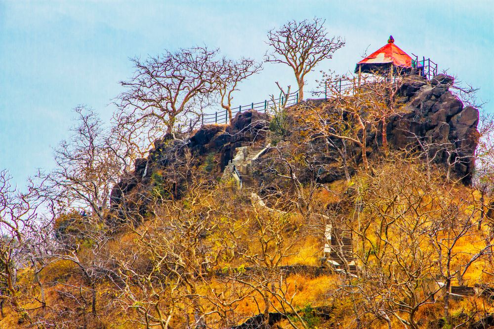 EL SENDERO DEL BOSQUE SIN VIDA II