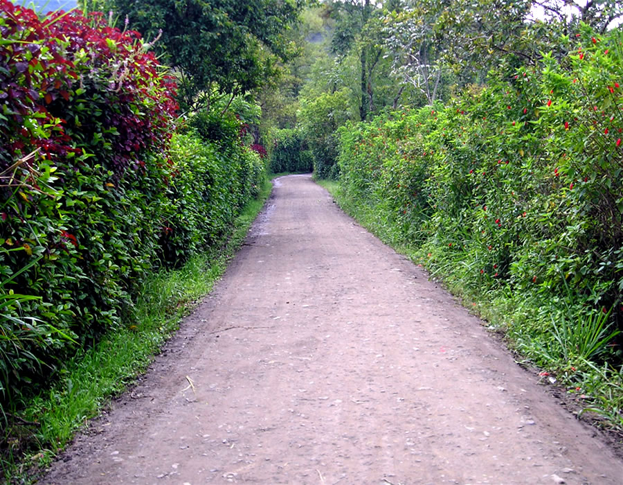 EL SENDERO