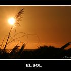 ..::el sol::..