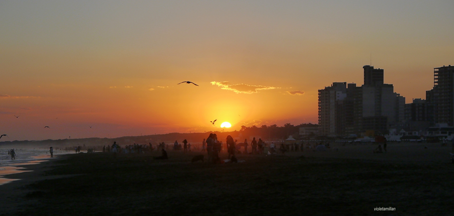 EL SOL CAMINO AL VERANO