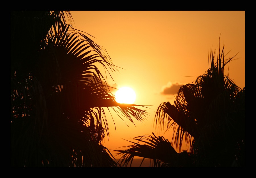 El Sol de Cala Mandia