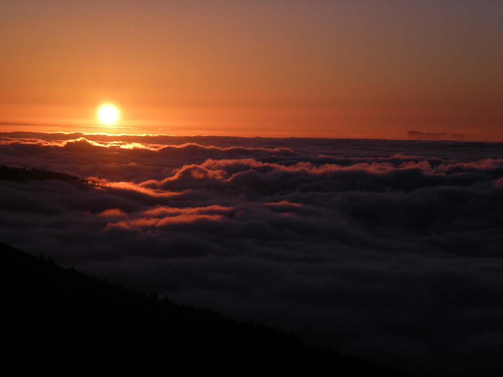 EL SOL DE TENERIFE