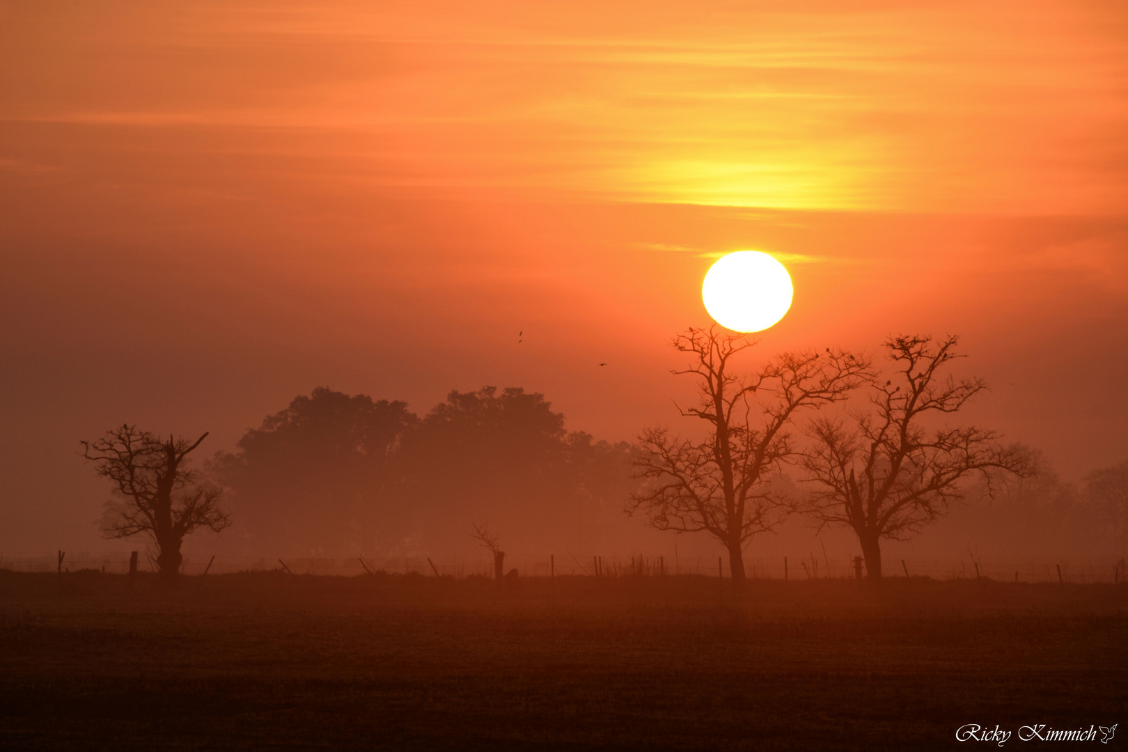 El Sol de un nuevo Día