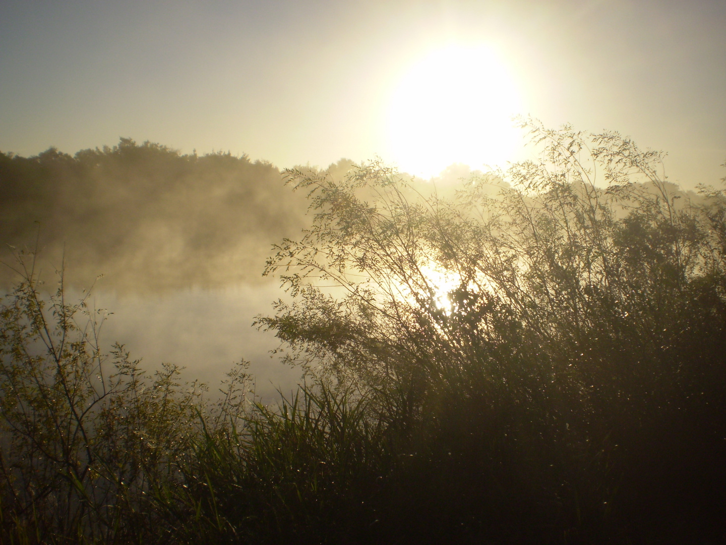 EL SOL, LA BRUMA Y EL RIO