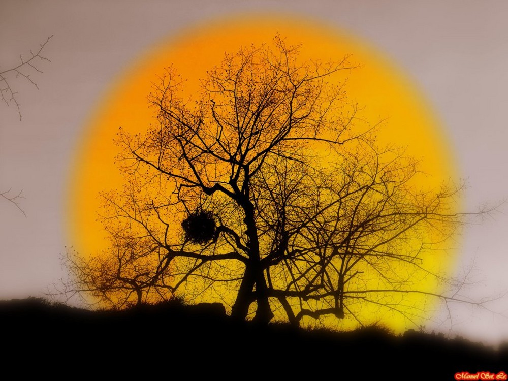 El Sol Naciente Imagen & Foto | naturaleza diversa , naturaleza Fotos