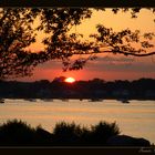 El Sol también se pone en NY