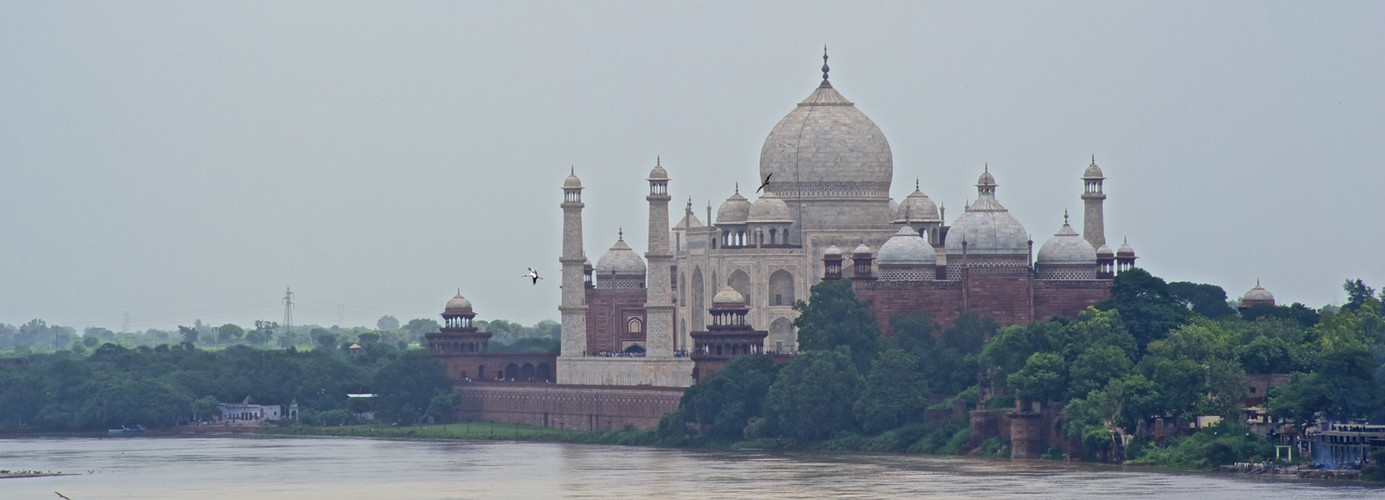 El Taj, la cigonya i el riu Yamuna