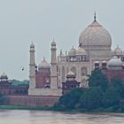 El Taj, la cigonya i el riu Yamuna