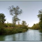 El Tajo por Aranjuez