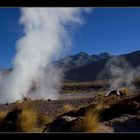 ... EL Tatio ...