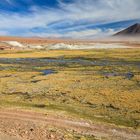 El Tatio 27