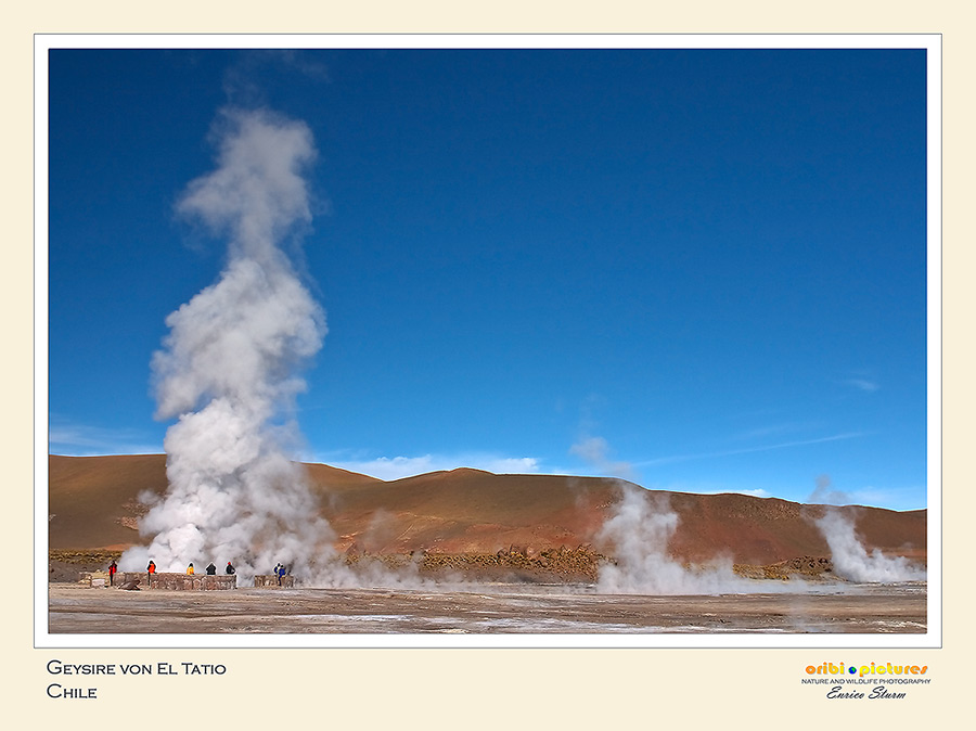 El Tatio (4.300 m)