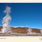 El Tatio (4.300 m)