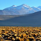 El Tatio Antofagasta Chile