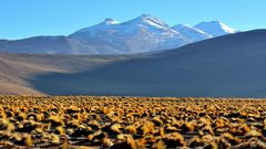 El Tatio Antofagasta Chile