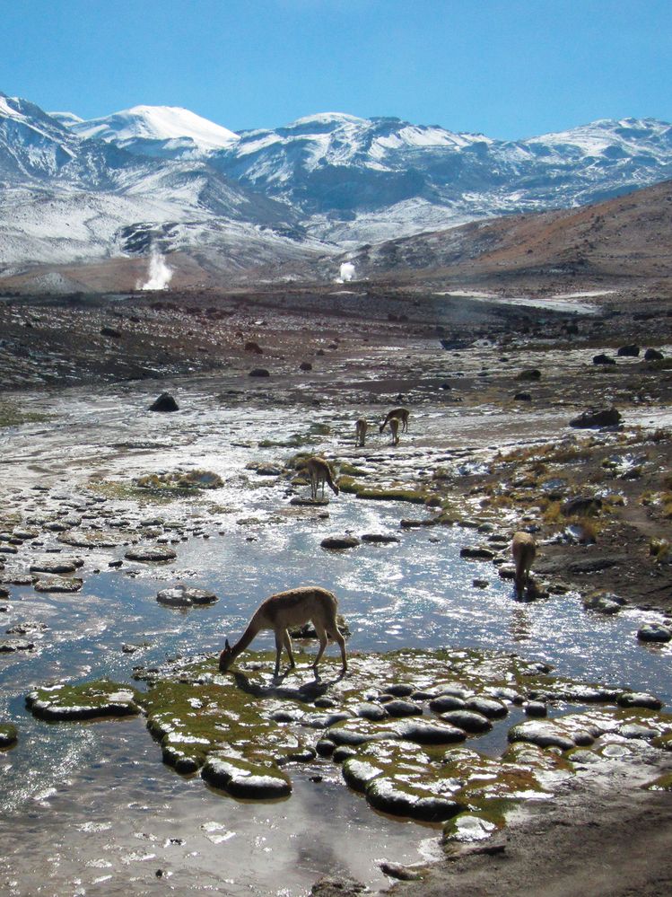 El Tatio Geysers